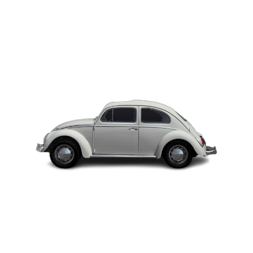 Beetle