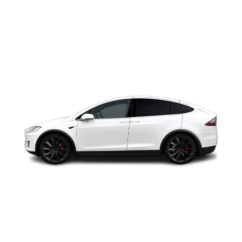 Model X