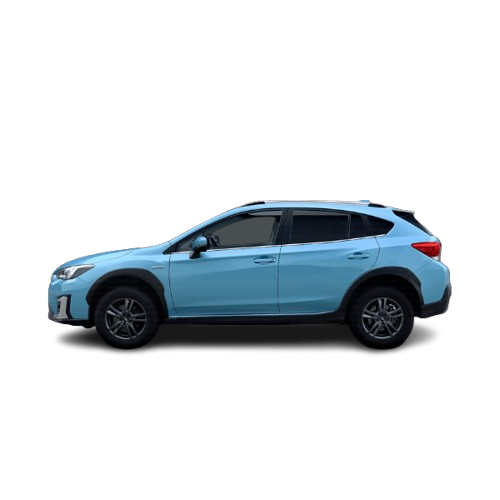 XV